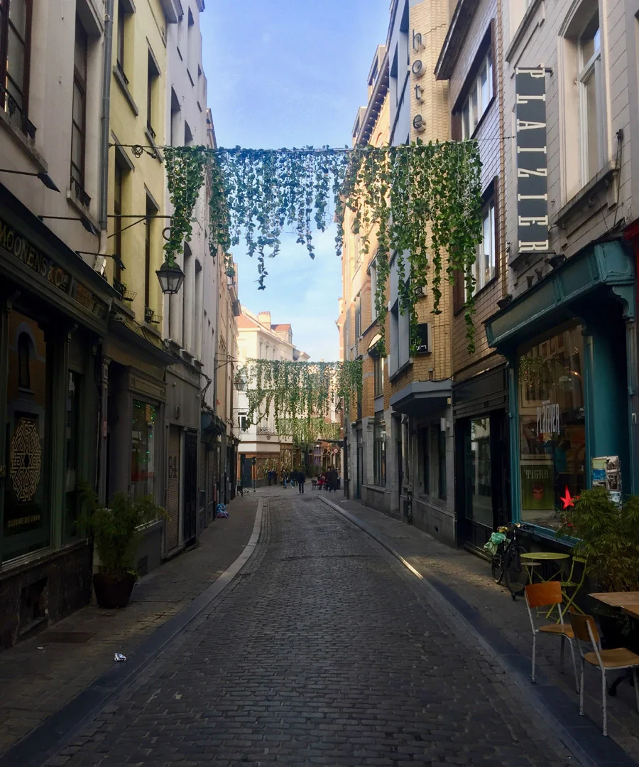 One pretty little road situated not too far from the Grand Place.