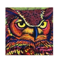 Mr. Trusting, Affirming Owl series, Acrylic, 12”x12” Framable Matted Canvas Print Available $50