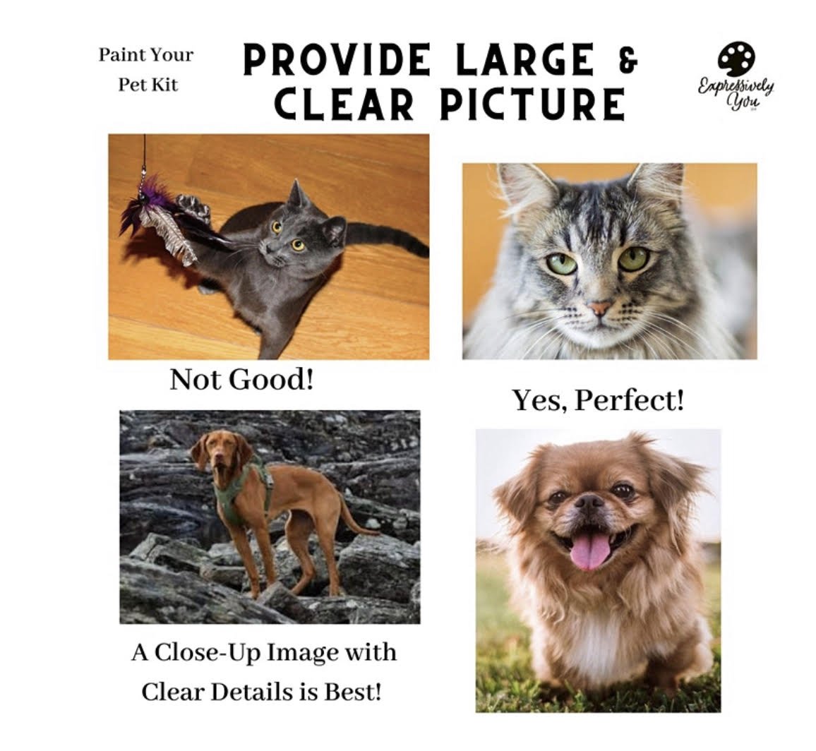 pet pic tips graphic.jpeg