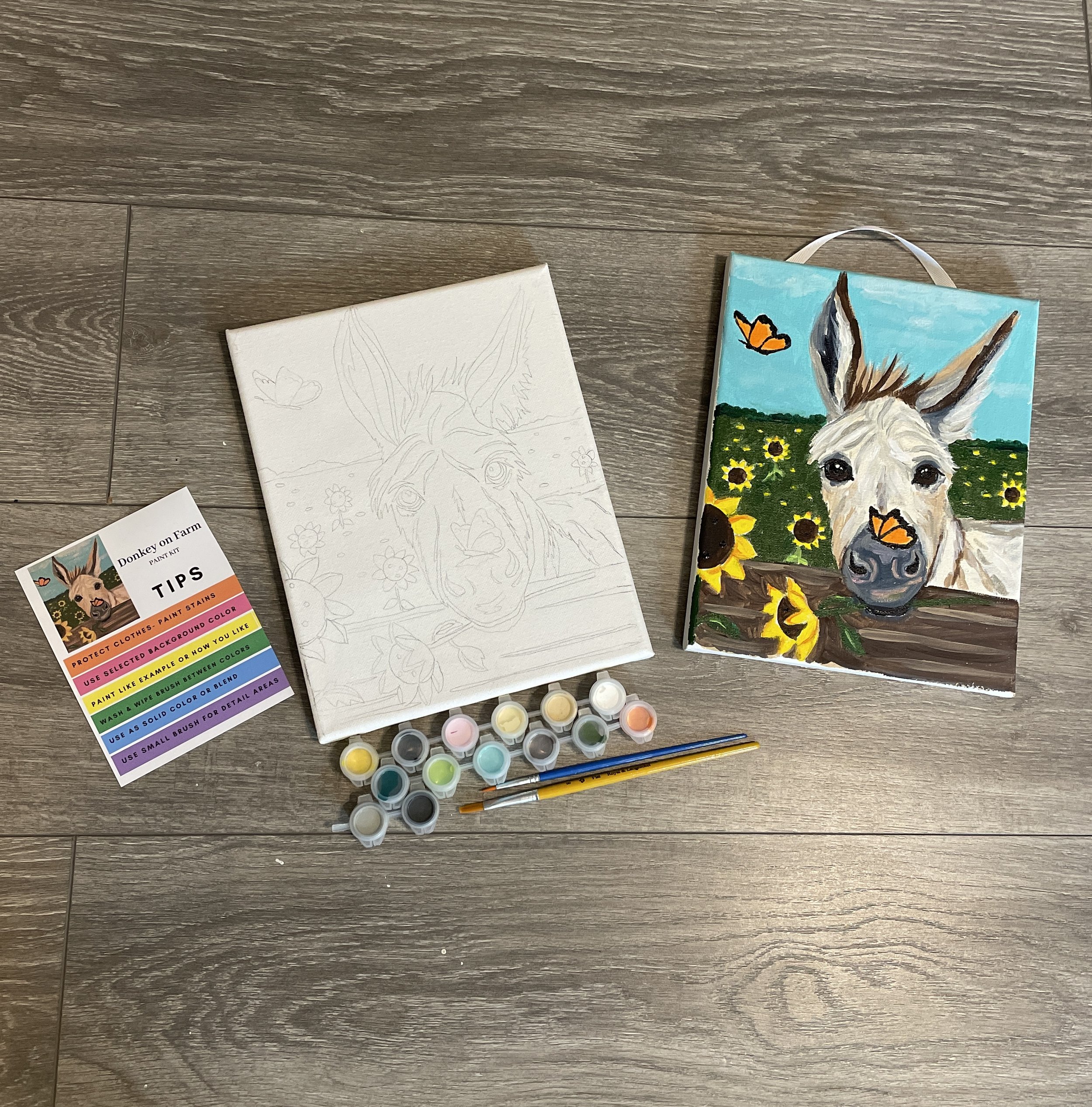 donkey kit.jpg