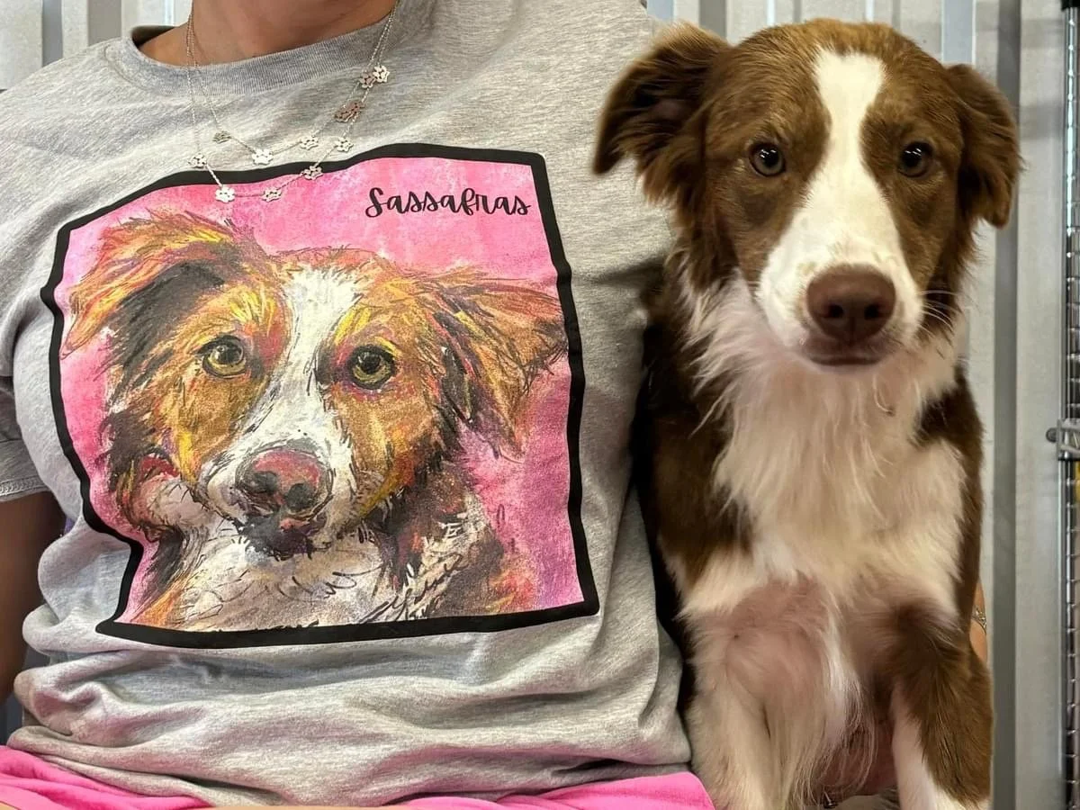 pet illustration shirt .JPG