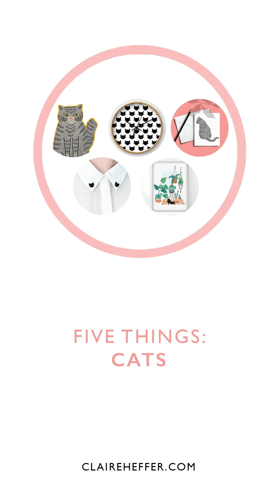 FIVE THINGS: CATS