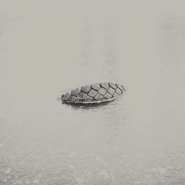 INSPIRATION: PHOTOGRAPHY: GARMONIQUE