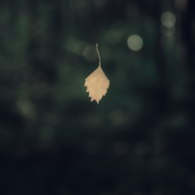 INSPIRATION: PHOTOGRAPHY: GARMONIQUE