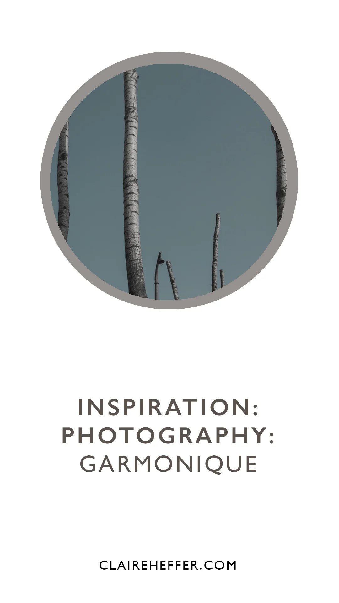 INSPIRATION: PHOTOGRAPHY: GARMONIQUE