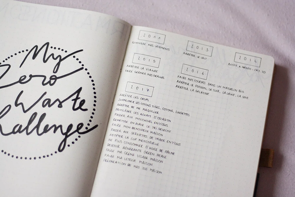 zero waste challenge planning.JPG