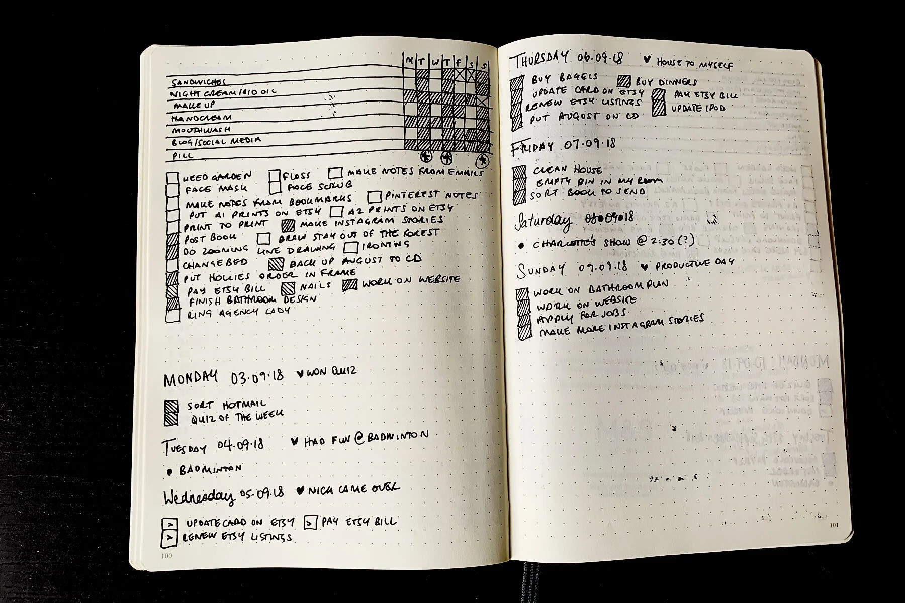 BULLET JOURNAL WEEKLY SPREAD 2.jpg