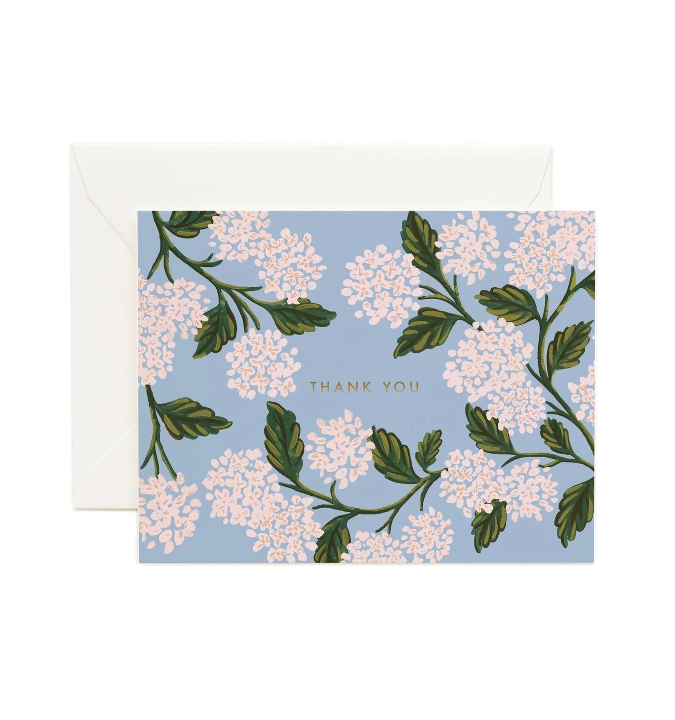 hydrangeathankyou_1376x1472.jpg