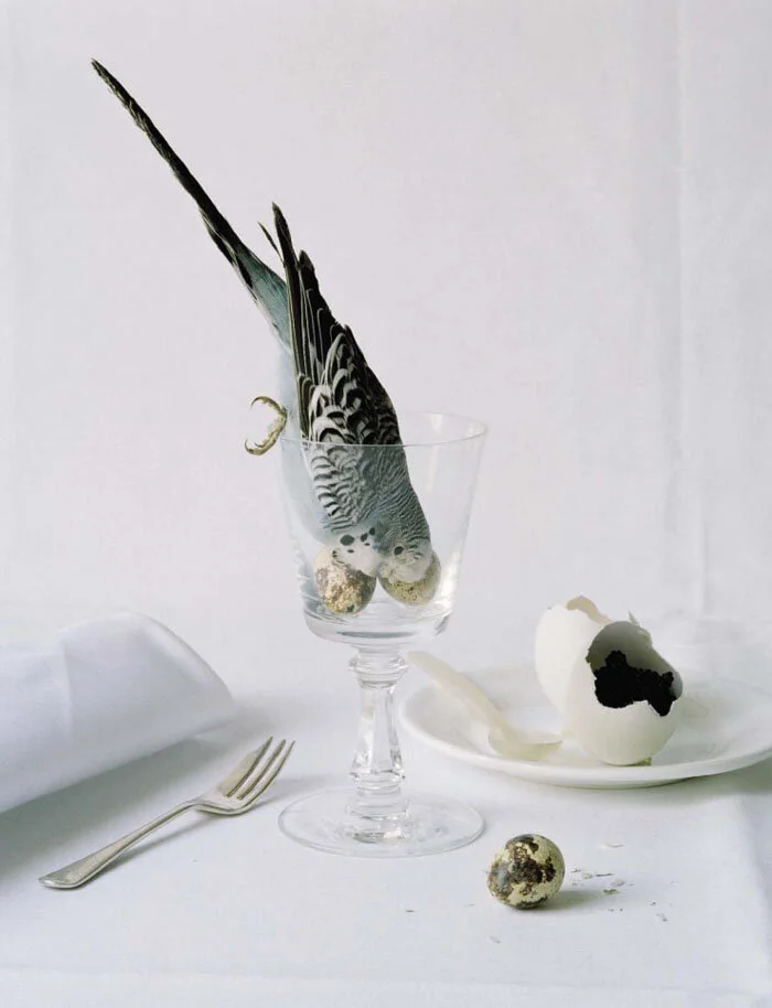 tim-walker-come-to-dinner-vogue-italia-une-2015-03.jpg