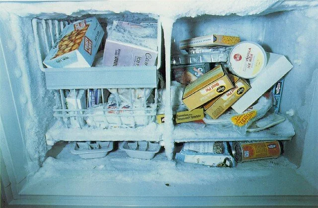 eggleston_freezer.jpeg