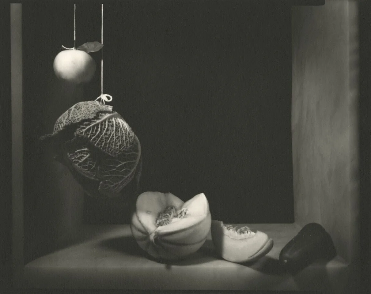 D’après-Juan-Sanchez-Cotan-Still-Lives-2005-Mieko-Tadokoro.jpg