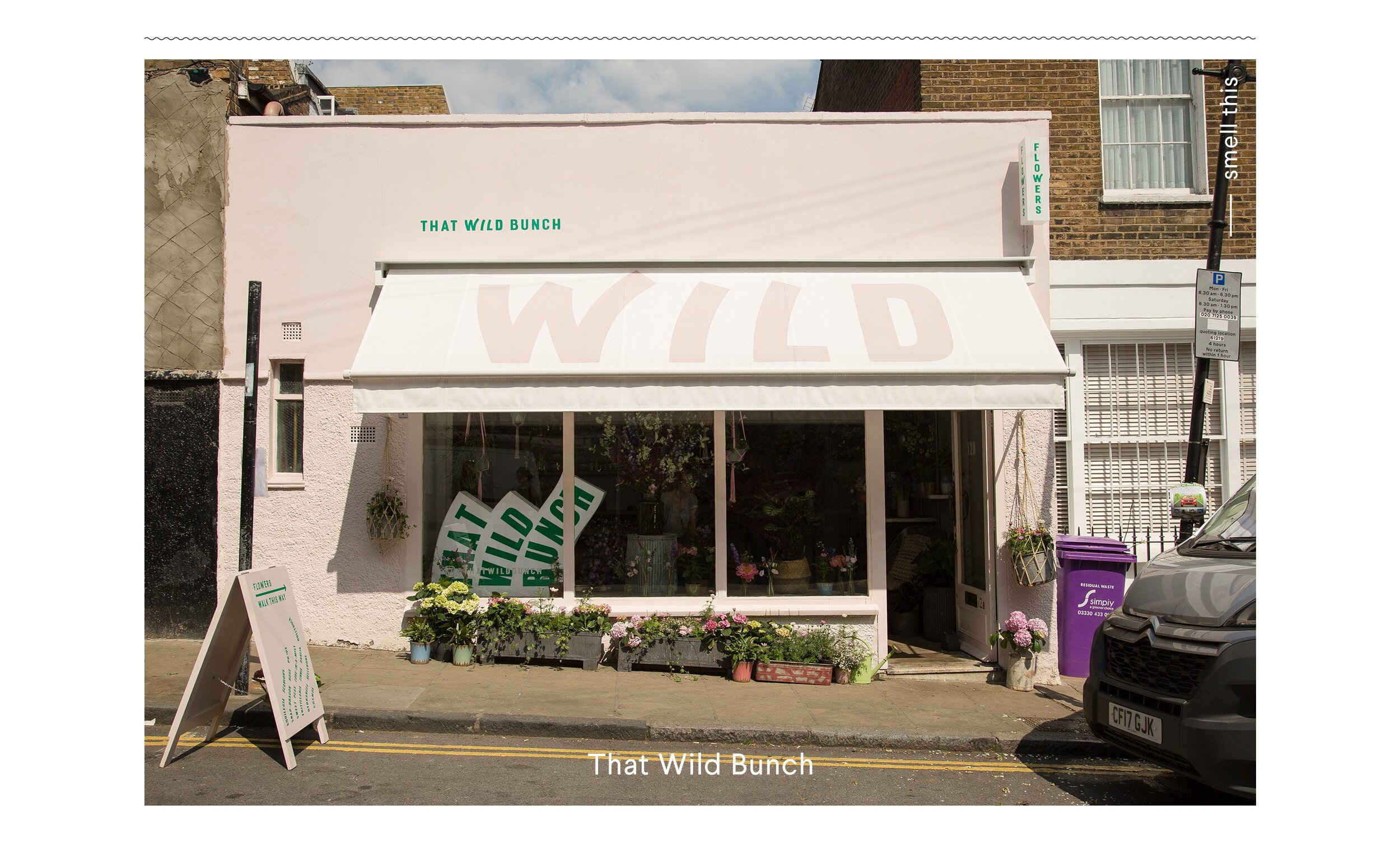 that-wild-bunch.jpg