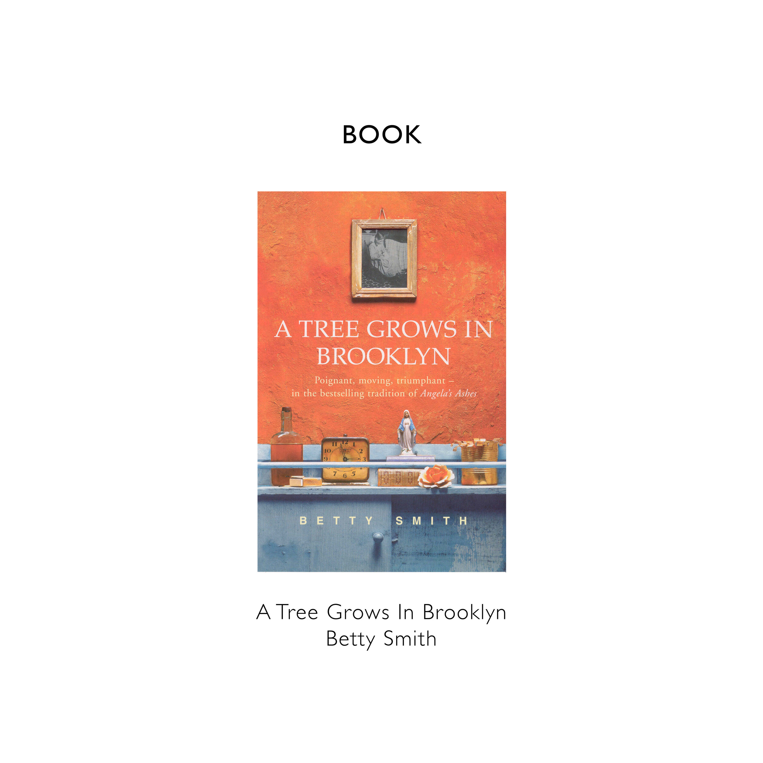 REFERENCE BLOG TEMPLATE A Tree Grows In Brooklyn Betty Smith copy.jpg