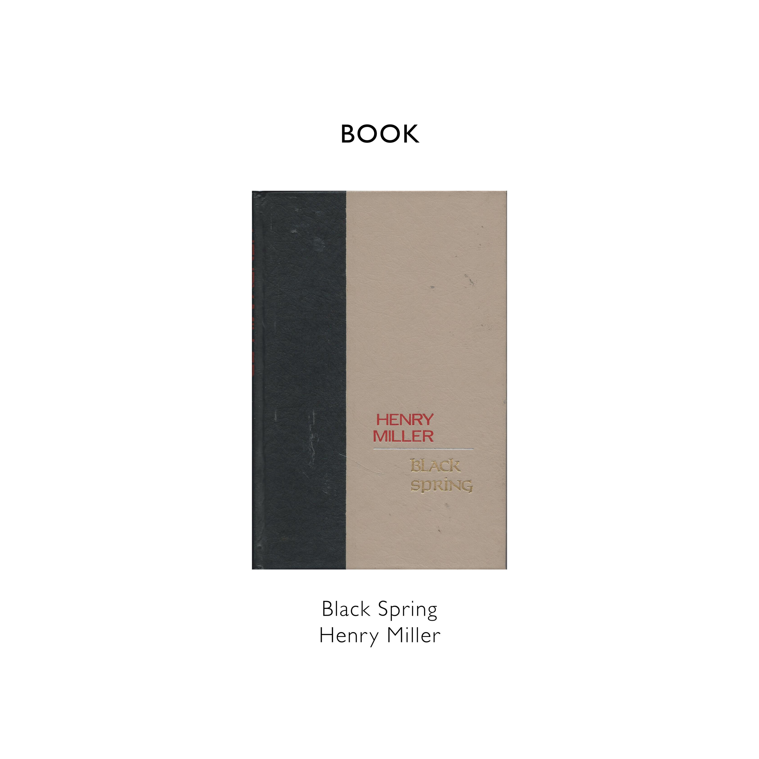REFERENCE BLOG TEMPLATE Black Spring Henry Miller  copy.jpg