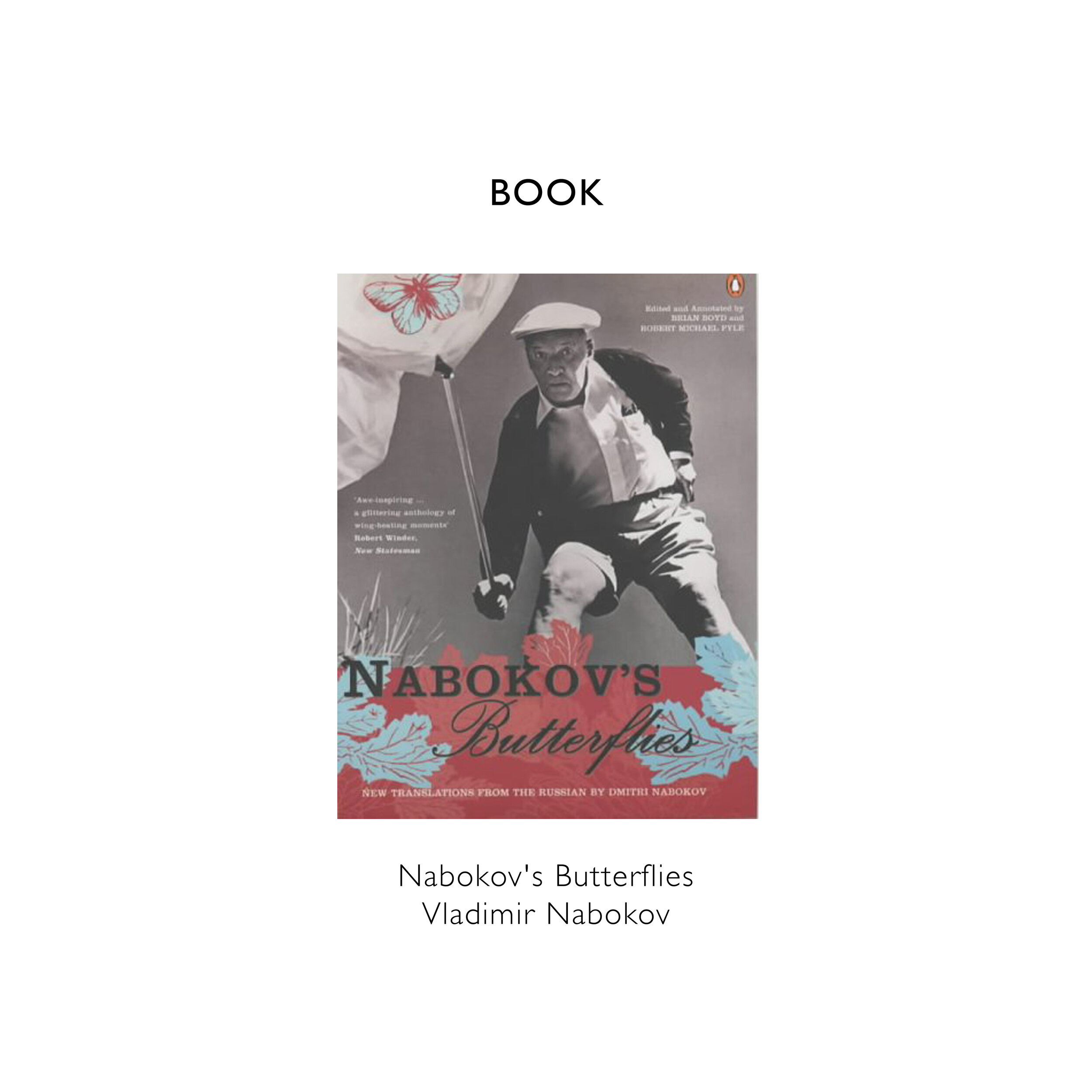 REFERENCE BLOG TEMPLATE Nabokov's Butterflies Vladimir Nabokov copy.jpg