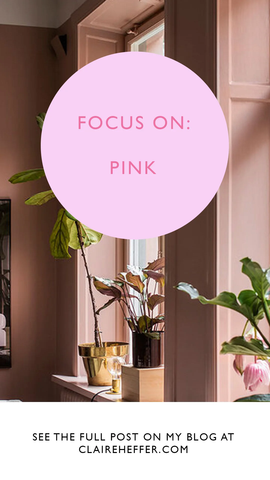 FOCUSONPINK2.jpg