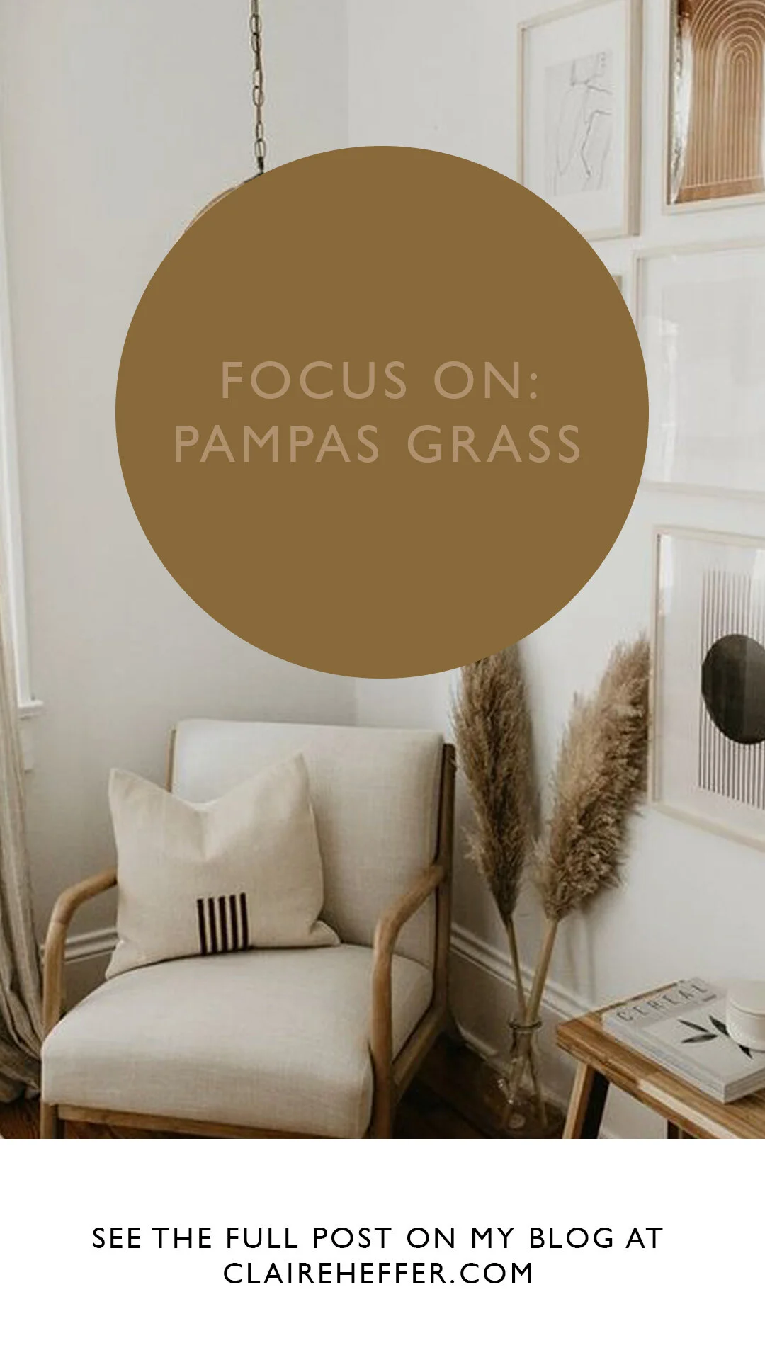 FOCUS ON- PAMPAS GRASS.jpg