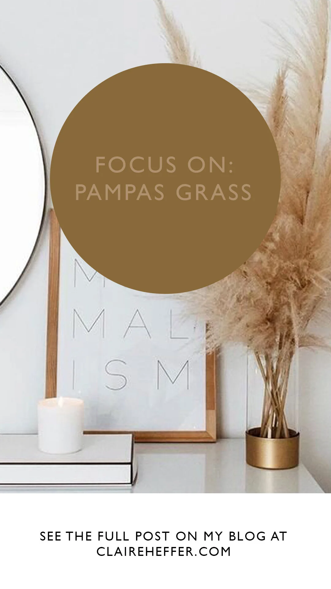 FOCUS ON- PAMPAS GRASS3.jpg