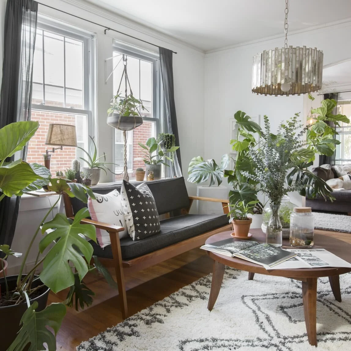 at-house tours stock archive-d484fa727935f76b18891c63bb4a77c61857b53d.jpeg