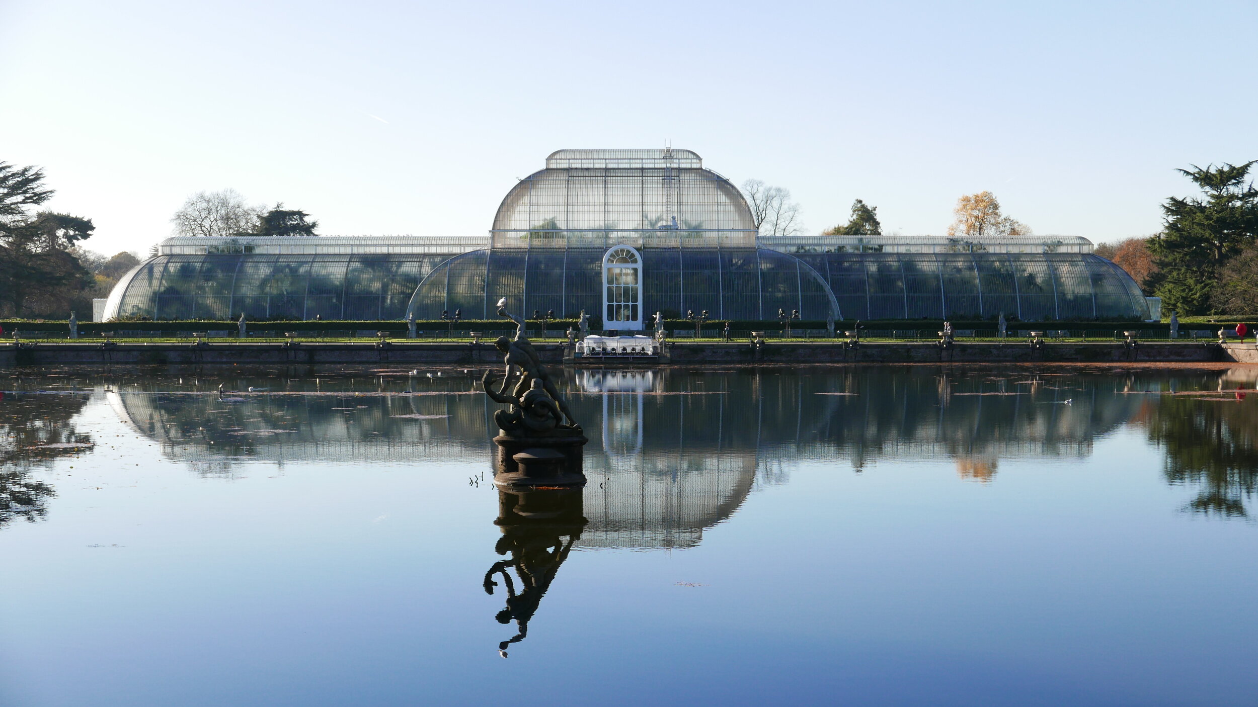 Palm House pond.JPG