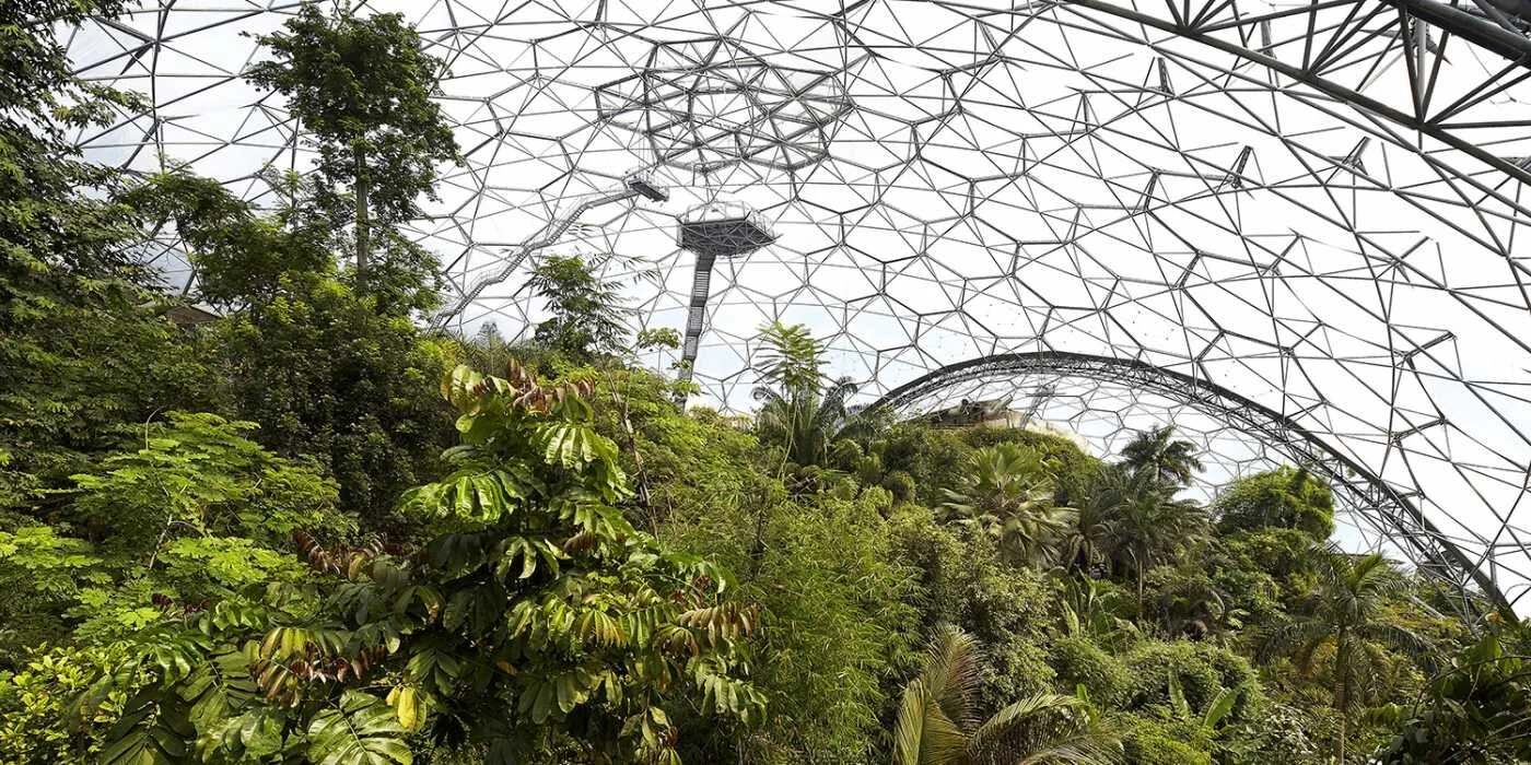 eden-project-rainforest-biome-huftoncrow.jpg