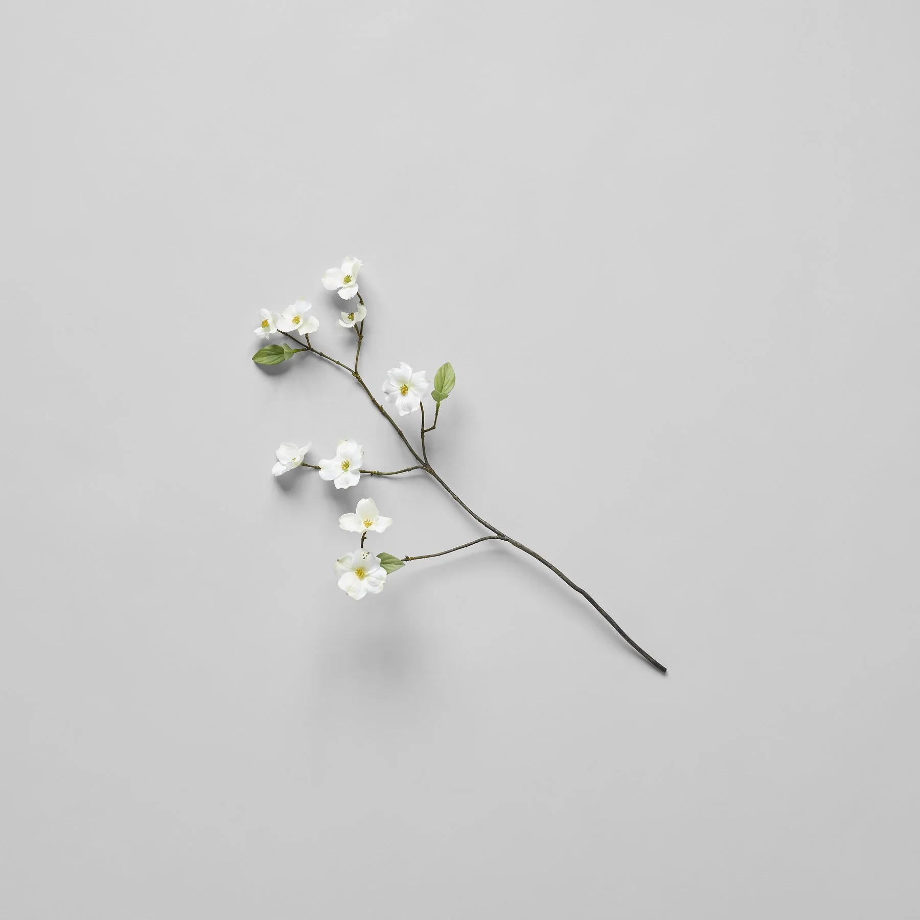 021320_S1_Bloomist_Dogwood_EcoFaux_White_SM_524_1800x.jpg
