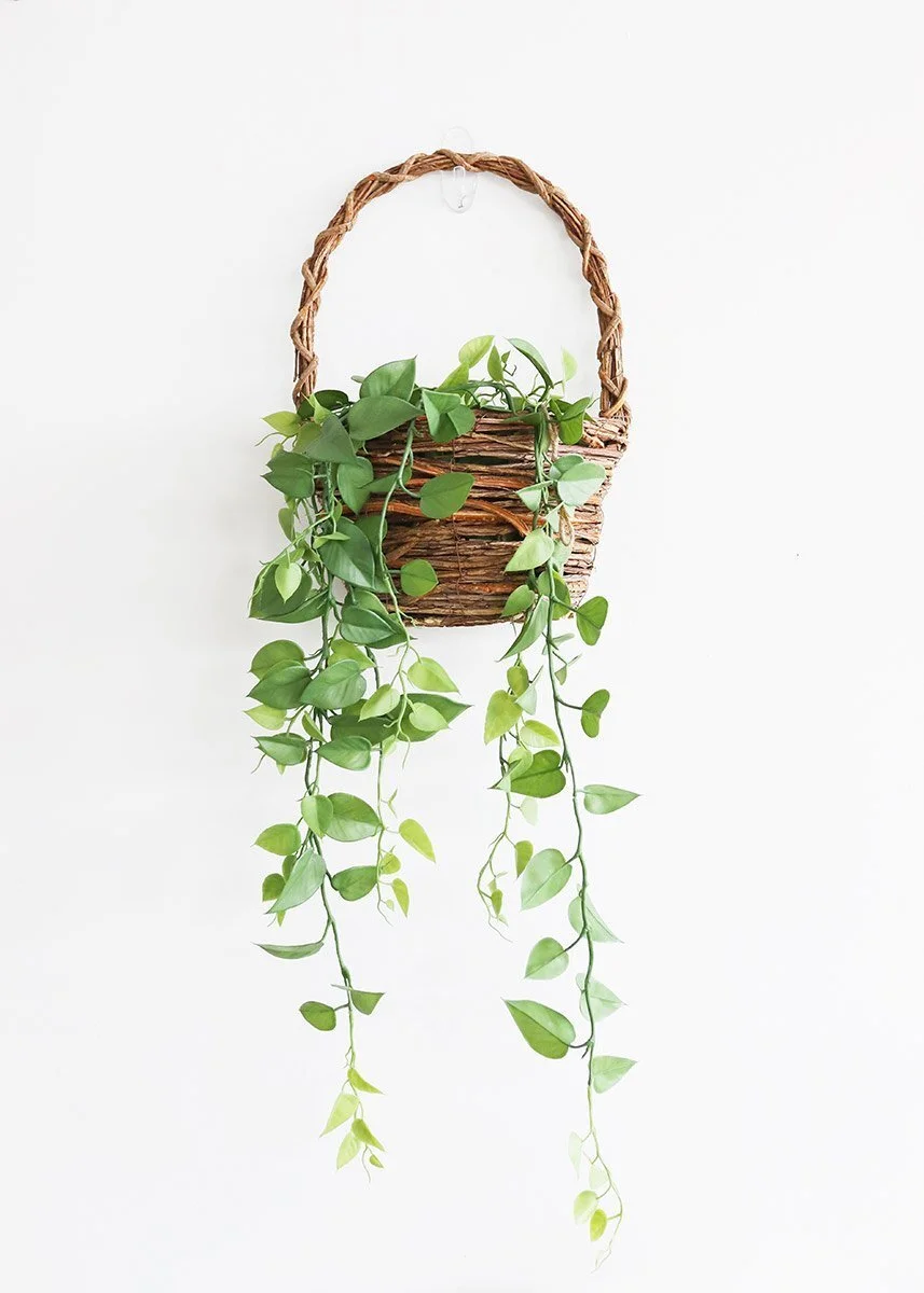 PBP353-GR-Hanging-Philodendron_x1200.progressive.jpg