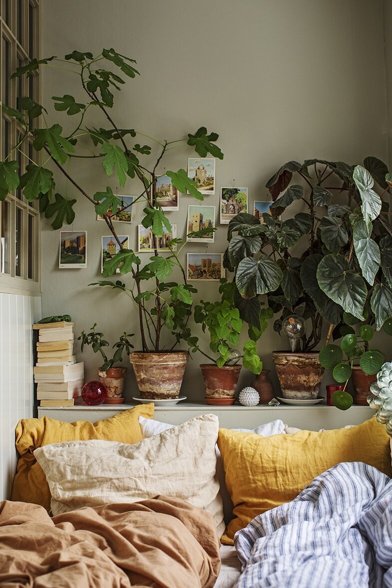 The+Nordroom+-+A+Colorful+Tiny+Home+Filled+With+Plants+and+Art.jpeg