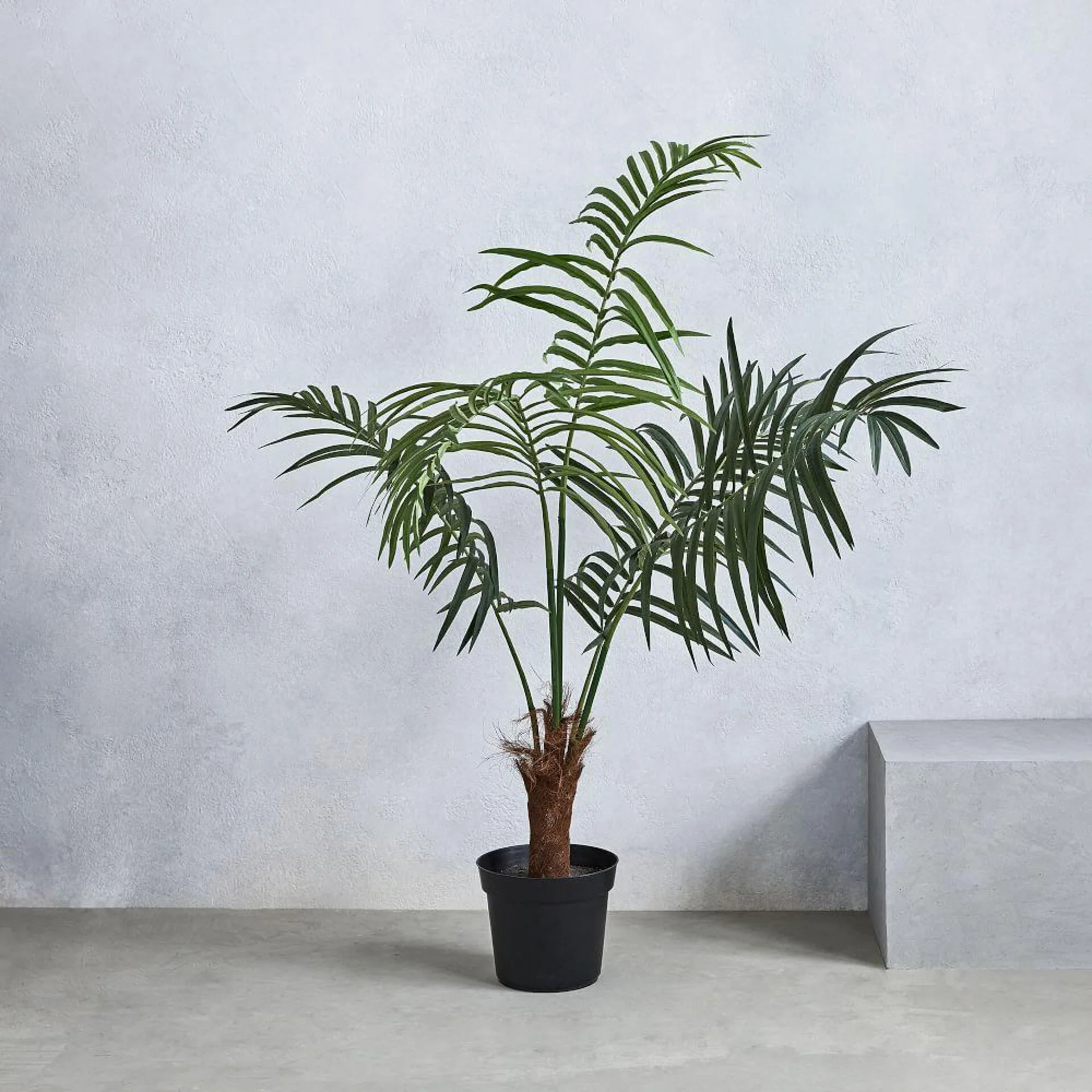 faux-fan-palm-tree-d4991-hero-z.jpg
