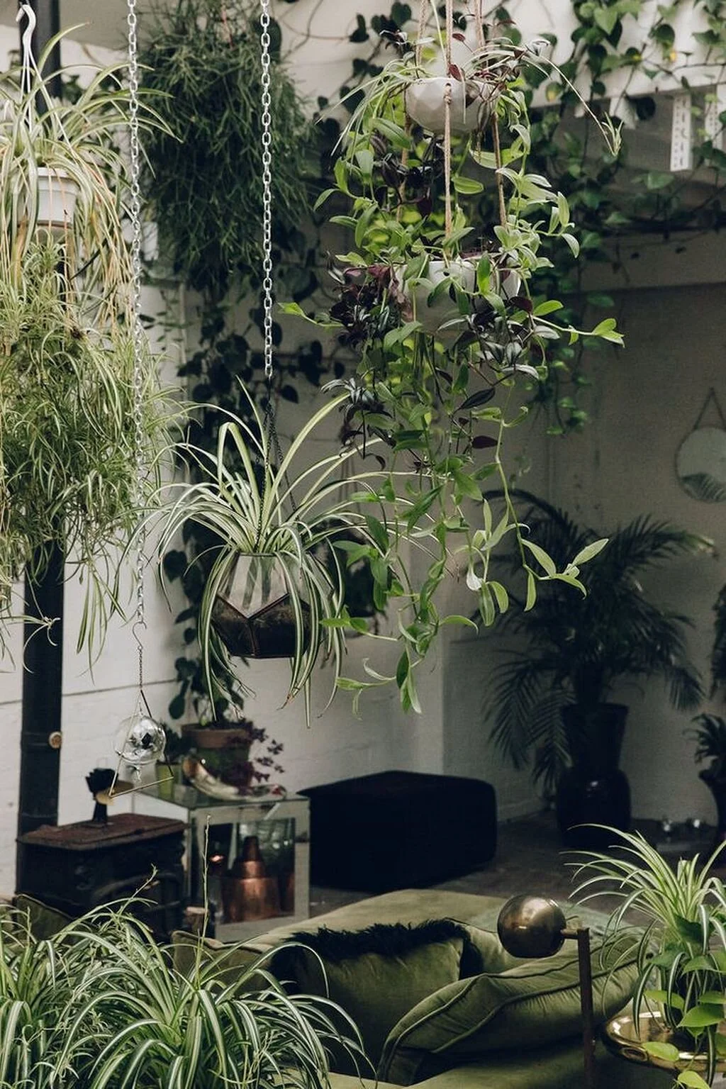 40-Hanging-Plant-Ideas-19.jpg