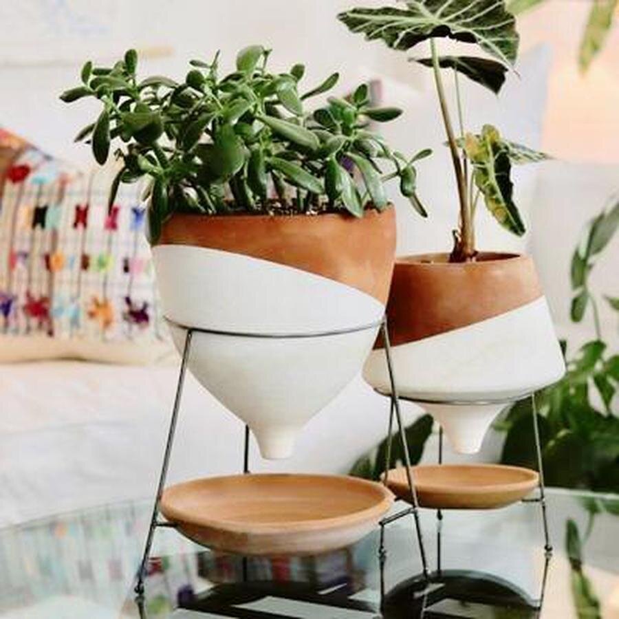 large-natural-and-white-terra-cotta-funnel-planter-with-wire-base-urban-greenhouse_2048x.jpg