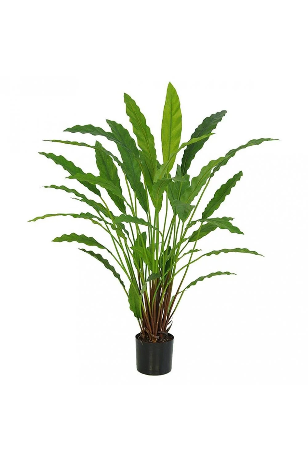 the-artificial-plants-shop-artificial-calathea-plant-80cm-p5-5_image.jpg