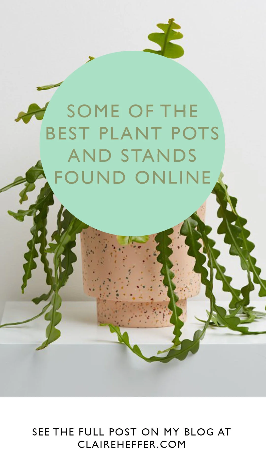 PLANTS2.jpg