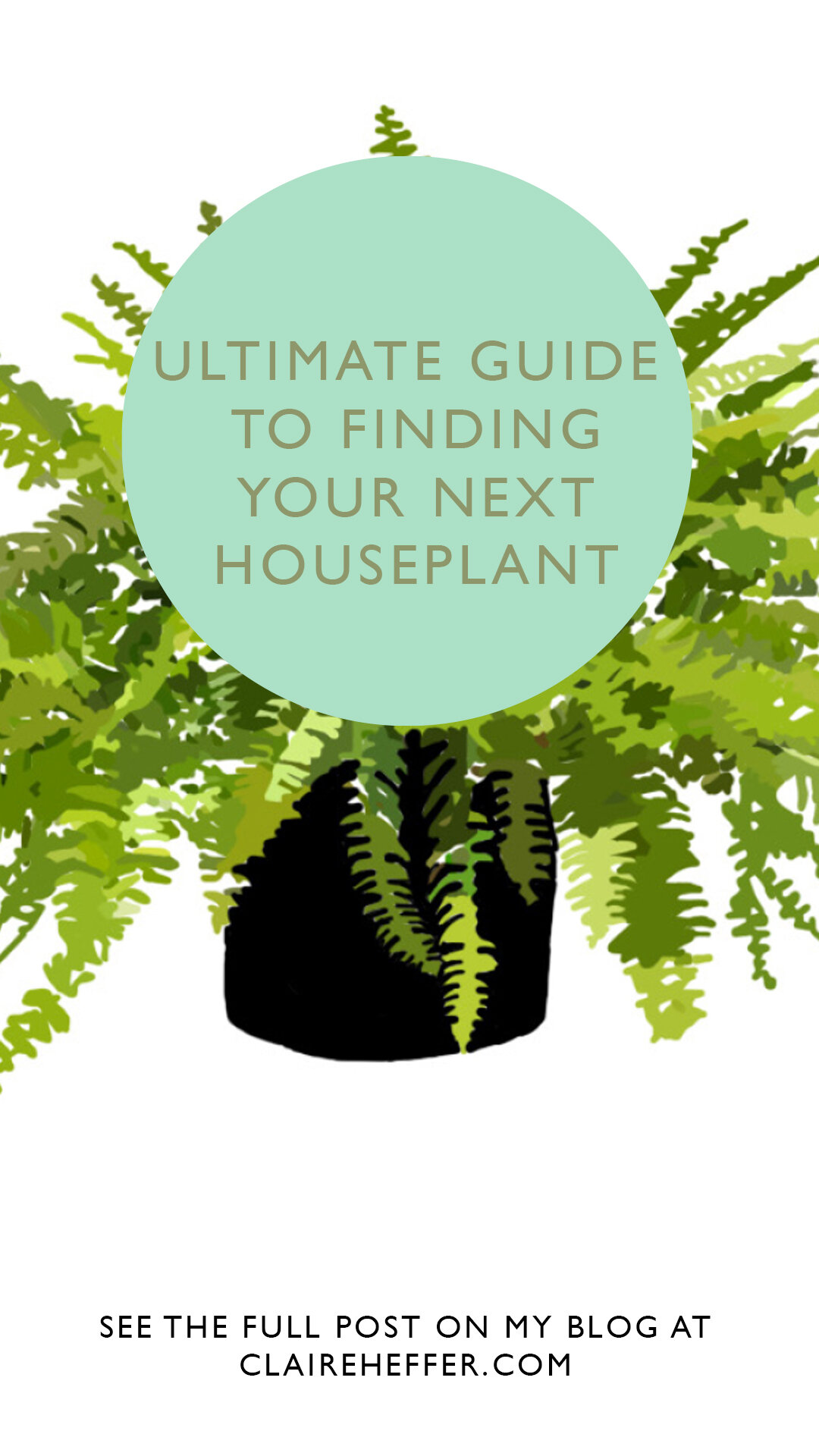 PLANTS4.jpg