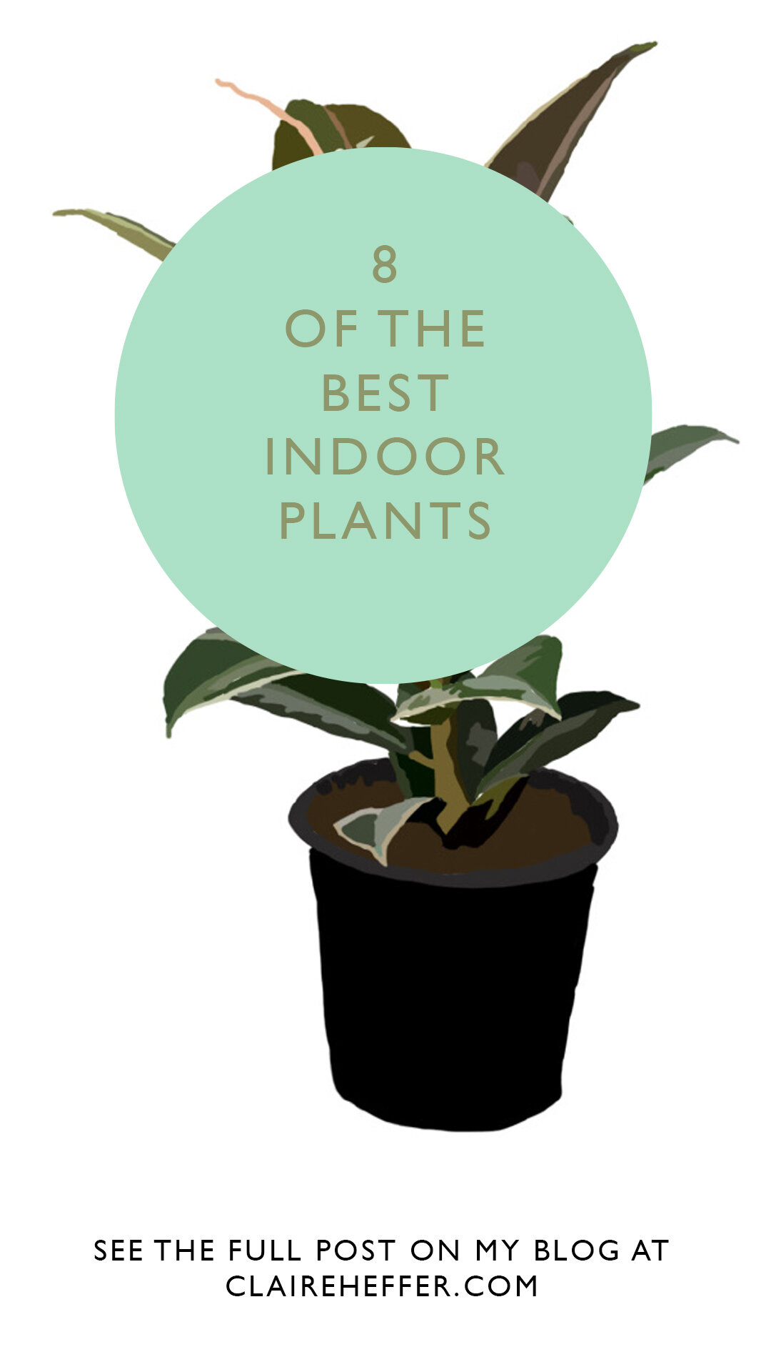 PLANTS7.jpg