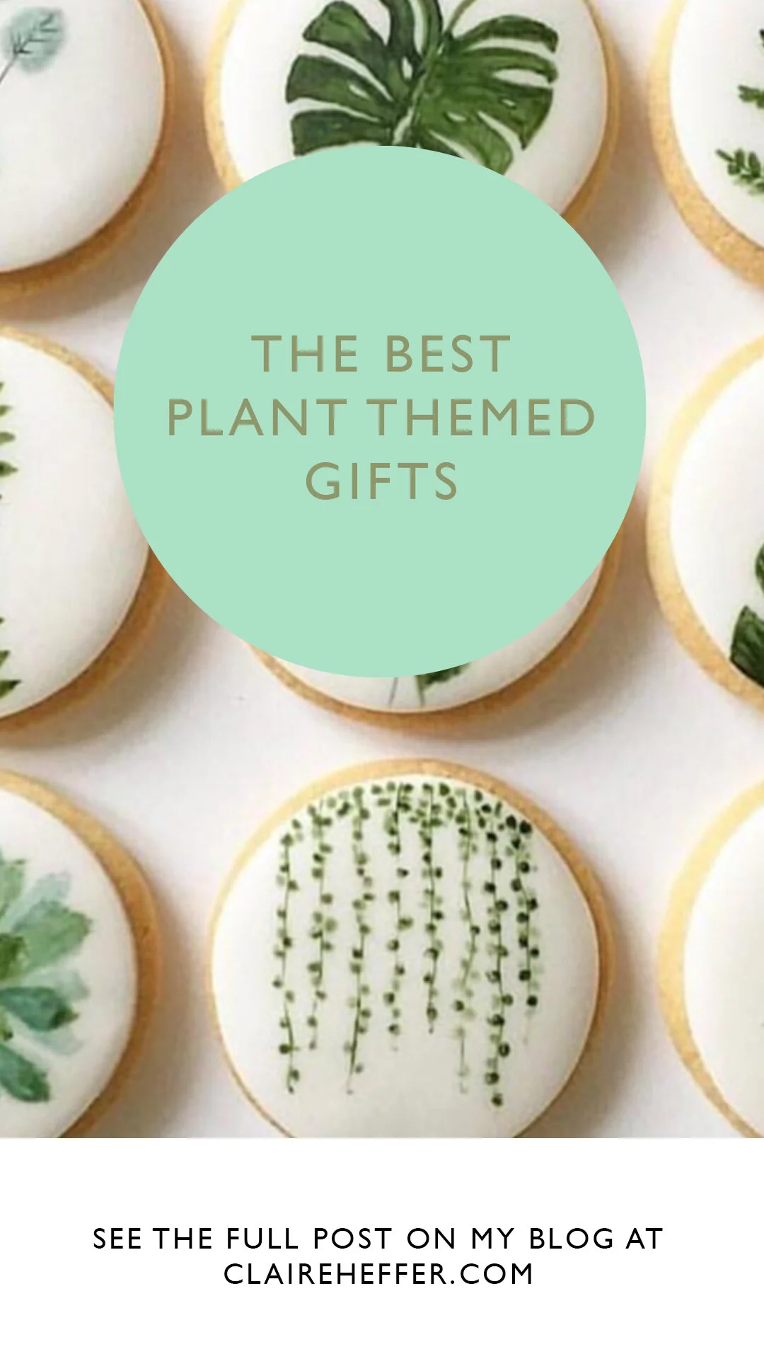 PLANTS12.jpg