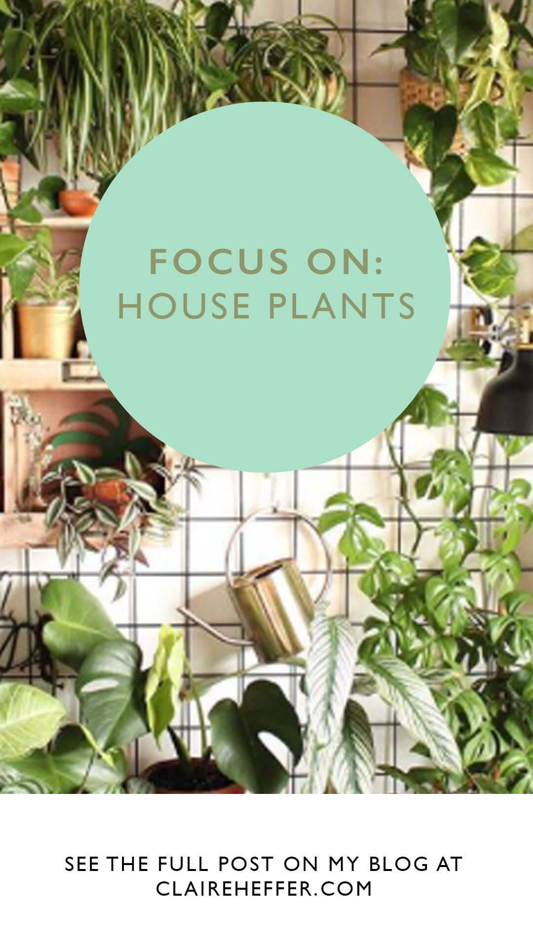 PLANTS14.jpg