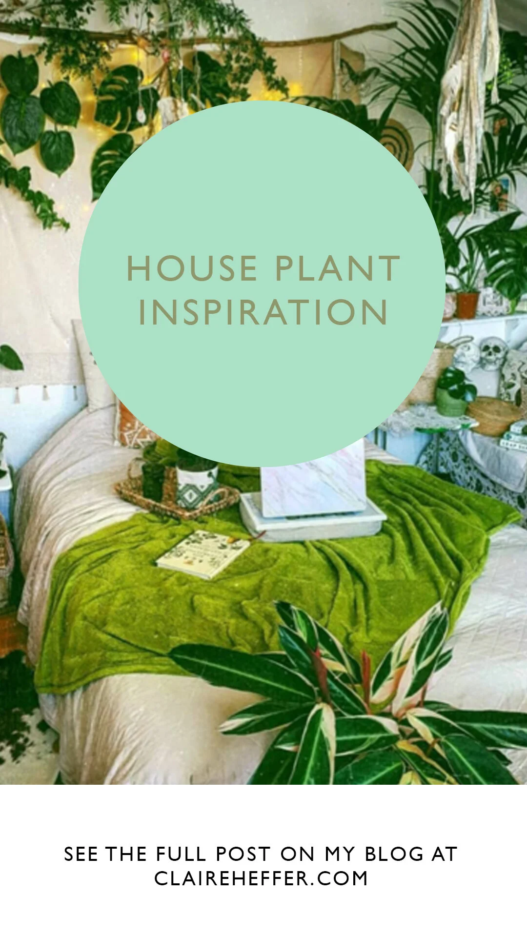 PLANTS13.jpg