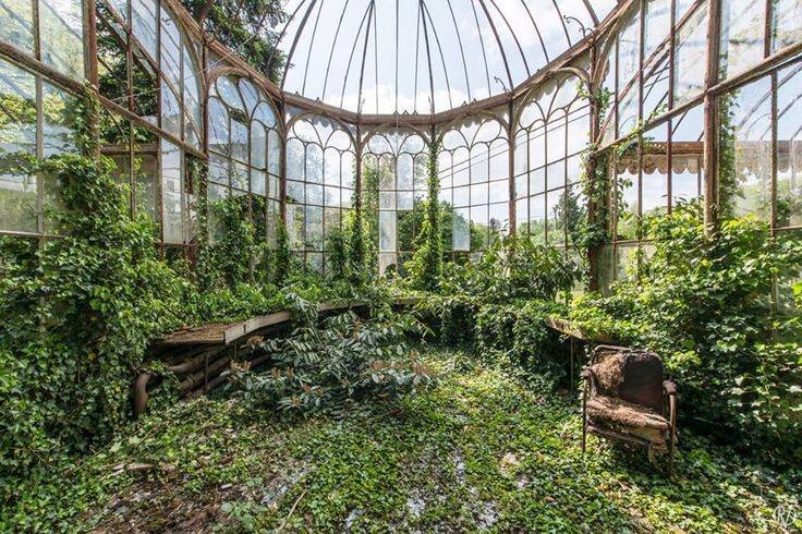 abandoned-greenhouse-garden-with-overgrown-plants.jpg
