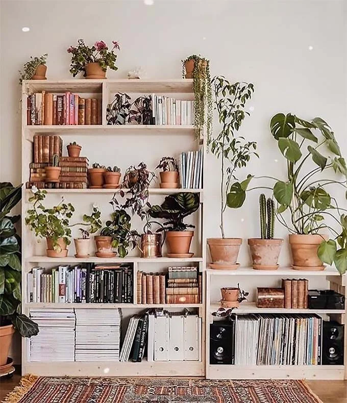 large-books-on-bottom.jpg
