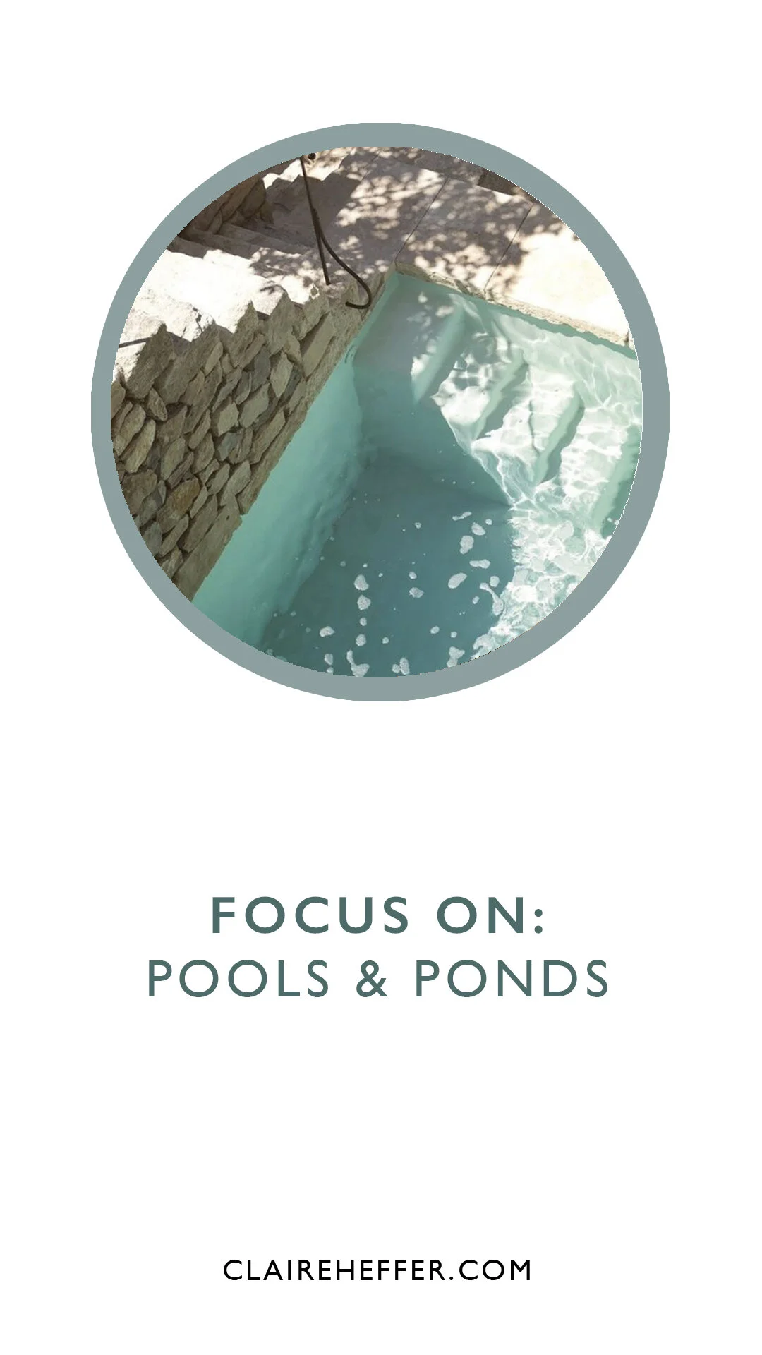 FOCUS ON: POOLS &amp; PONDS