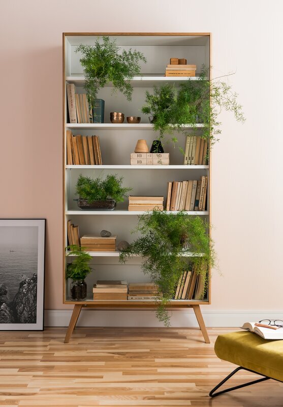Halstead+Bookcase.jpg