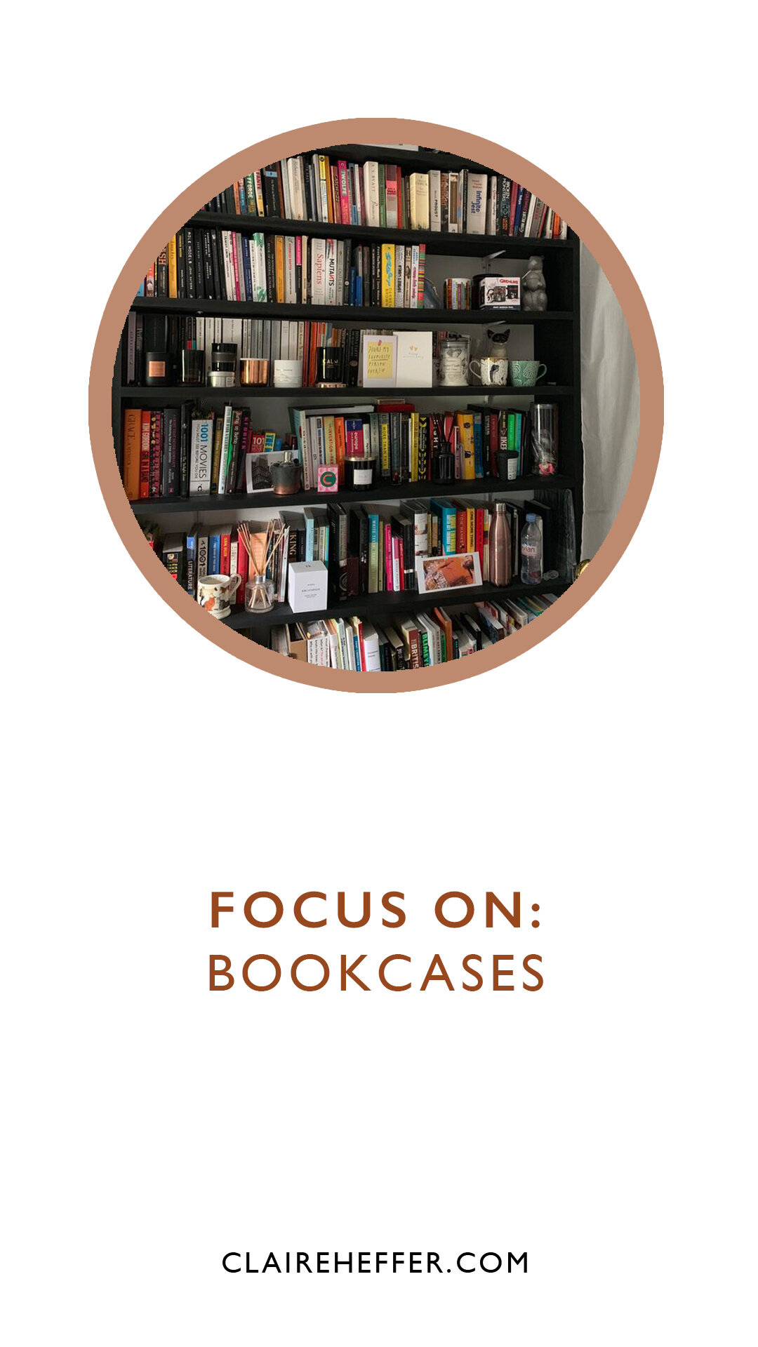 FOCUS ON: BOOKCASES