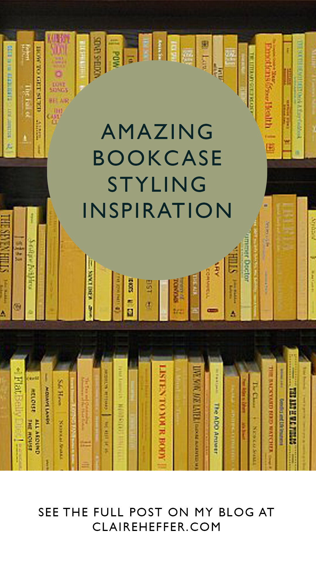 BOOKCASE PIN12.jpg