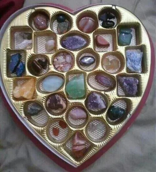 tumblr_mycjqvw5Wv1sqqrexo1_500.jpg