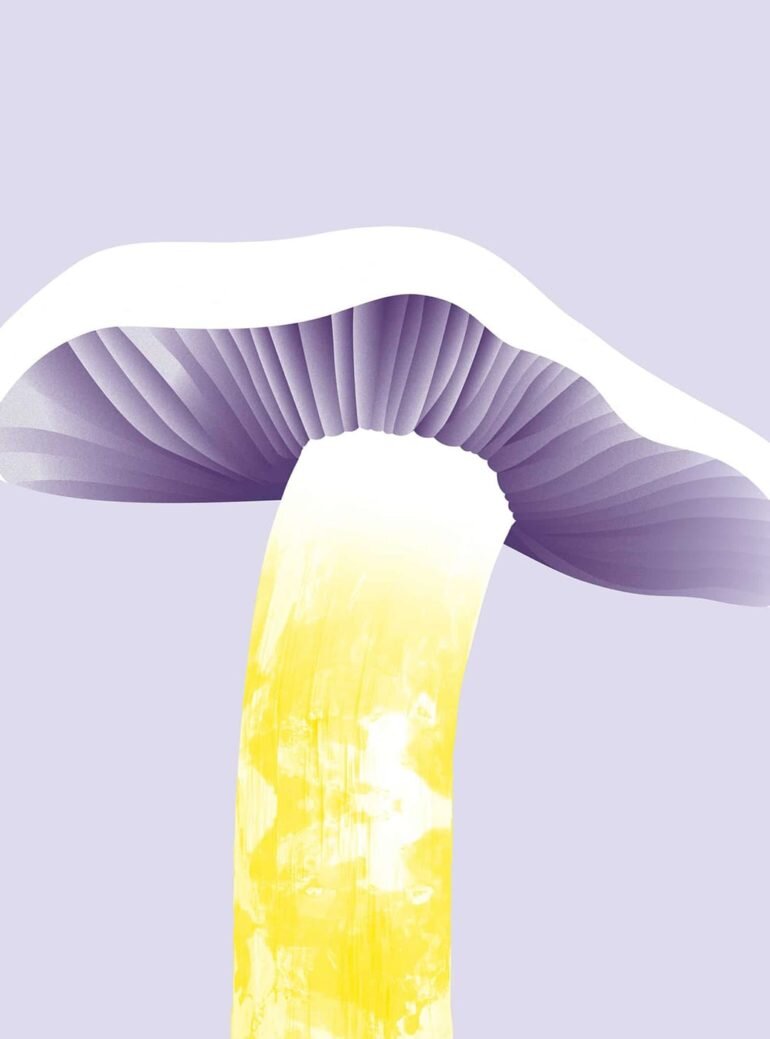 futuristic-wild-mushroom-cookbook-6-770x1039.jpg