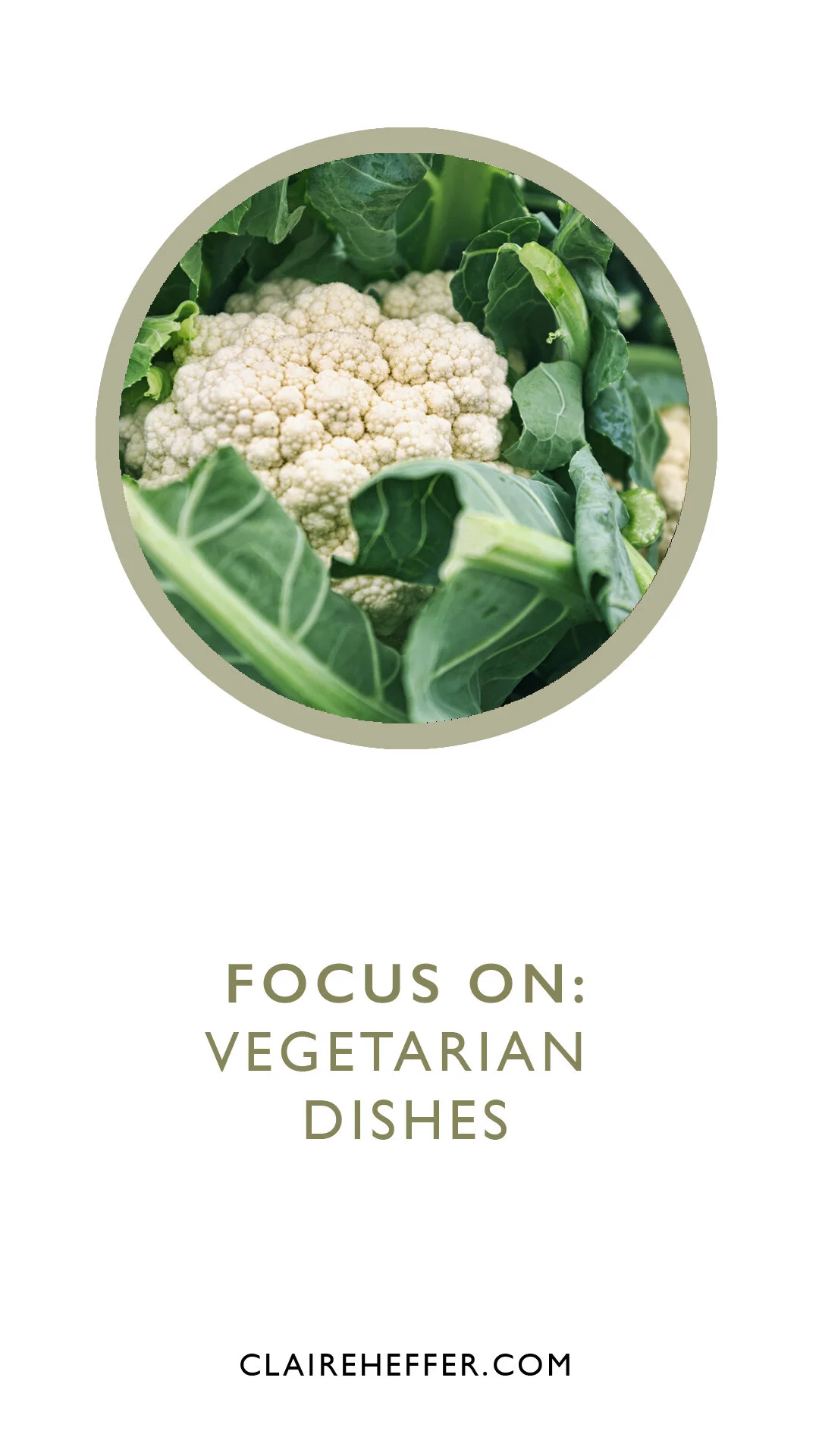FOCUS ON: VEGETARIAN DISHES