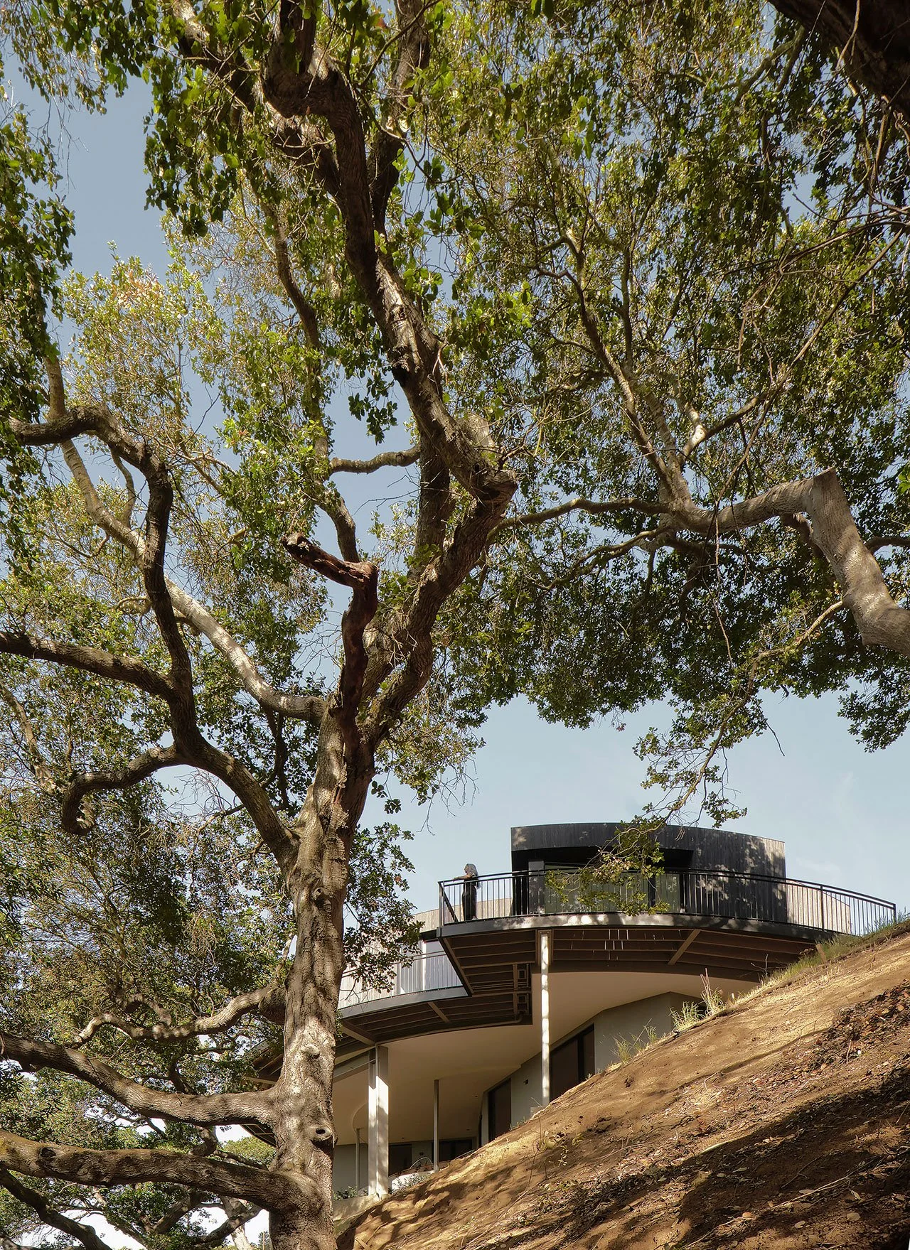1960s architecture, 1960s house, large kitchen, circular kitchen, kitchen, centre-of-the-house kitchen, kitchen inspiration, central kitchen, architectural, architecture, curves, light, windows 