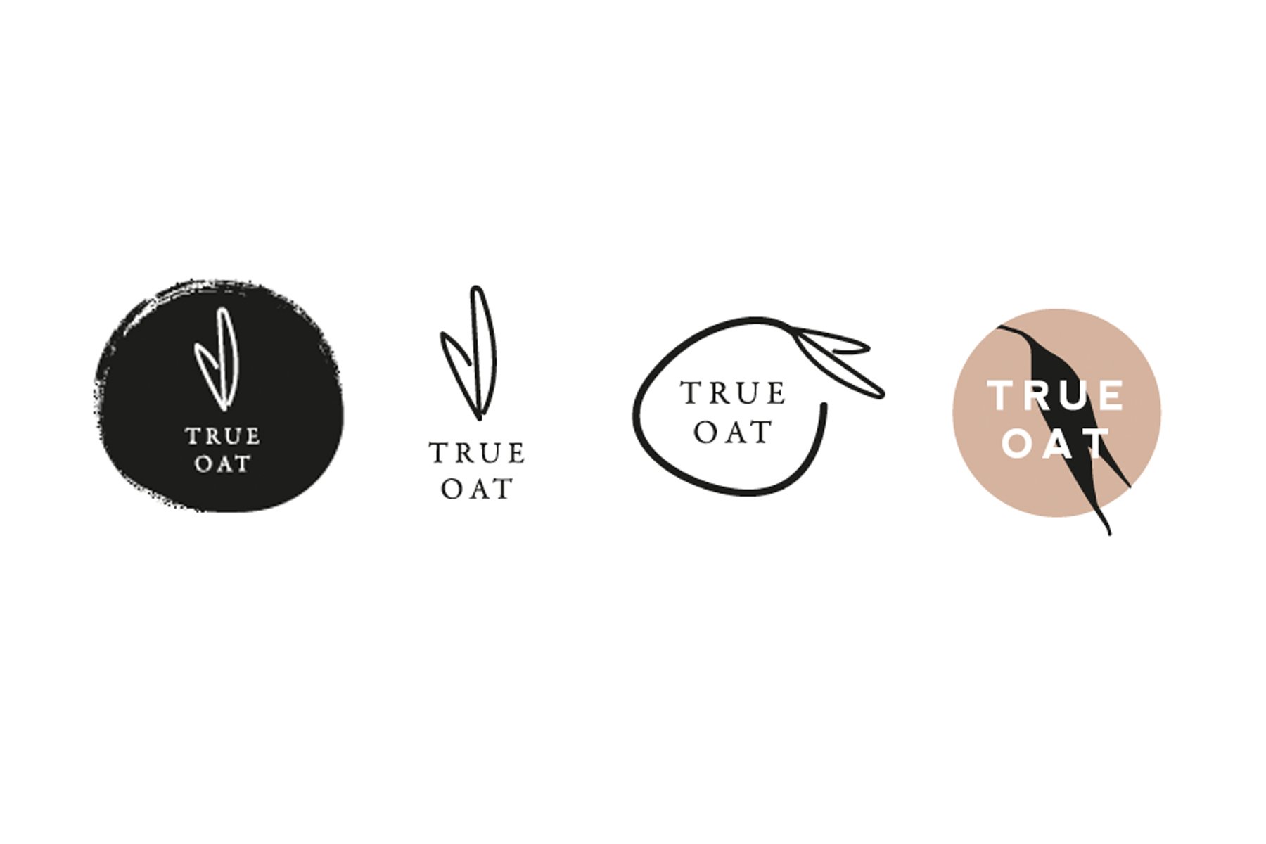  True Oat Options by  Claire Heffer Design  