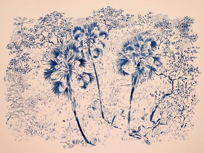Katrin Coetzer, beautiful, intricate, detailed, delicate, natural themes, animals, flowers, landscapes, patterns, eye for colour, beautiful colour combinations, expressive brush stokes, blog post, 